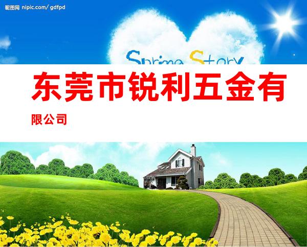 东莞市锐利五金有限公司