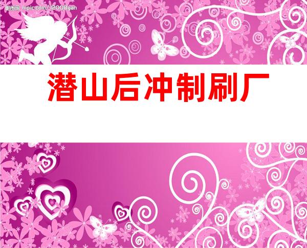潜山后冲制刷厂