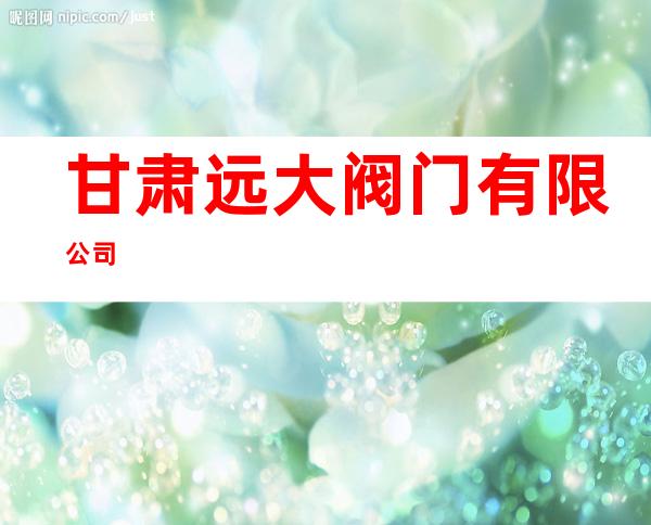 甘肃远大阀门有限公司