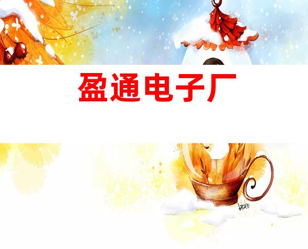 盈通电子厂