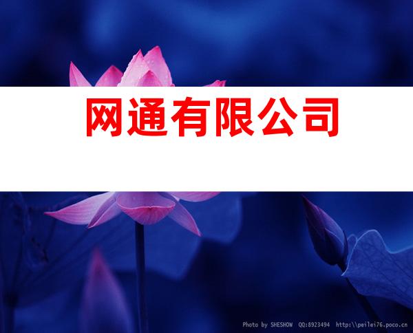 网通有限公司