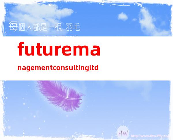 future management consulting ltd.